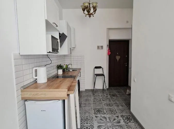 студіо личаківська 19 Apartment Lviv
